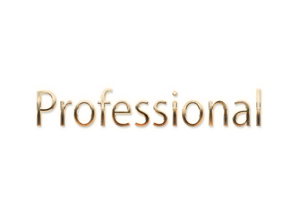 WORD PROFESSIONAL gold text typography PNG images free